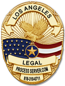 Santa Clarita Legal Process Server